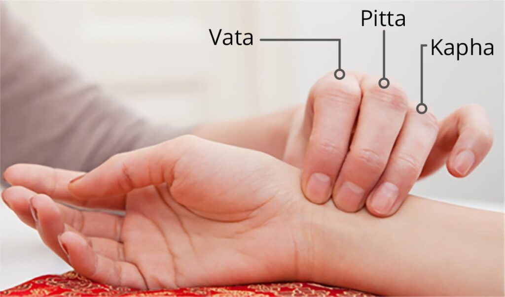 Pulse Diagnosis goes Digital