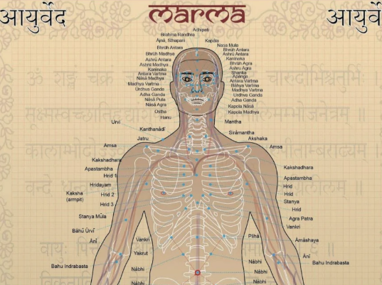 Marma Points and Neurology